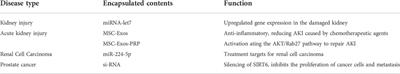 The potential therapeutic value and application prospect of engineered exosomes in human diseases